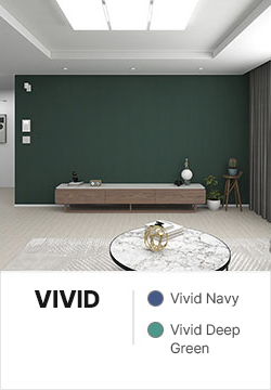vhome,remodeling,package