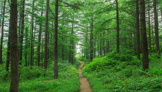 The top eco-friendly grade of KS of Korea