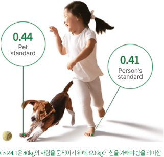 Pet Flooring