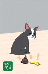 Pet Flooring