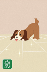 Pet Flooring