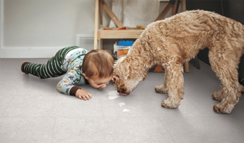 Pet Flooring