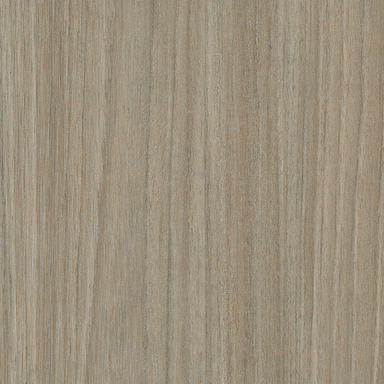 HC9023 [elm]