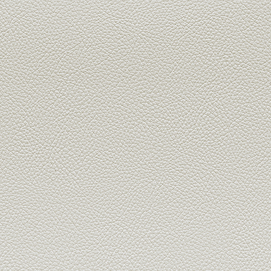 HTE601 [leather]