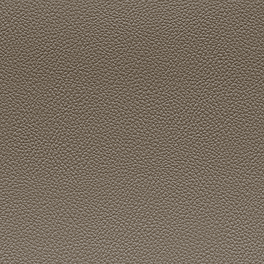 HTE604 [leather]