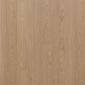Splendor Oak [1709]