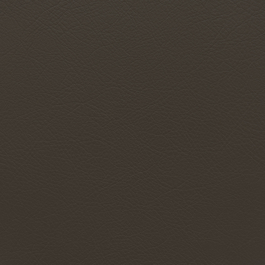SPL-20R003 [leather]