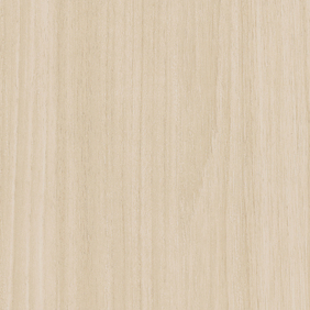 CW-20R010 [elm]