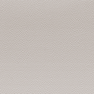 HTE610 [leather]